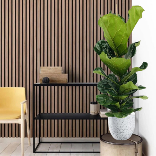 akupanelen combineren met kamerplant