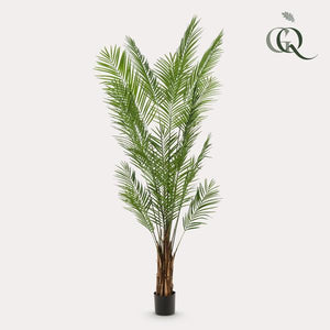 Grote Kunstpalm - 240cm- XL Kunstplant Areca Lutescens (Goudpalm) Everspring