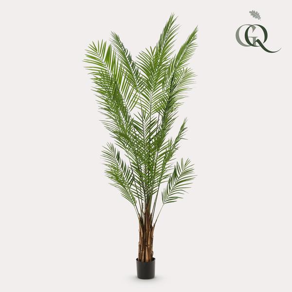 Grote Kunstpalm - 240cm- XL Kunstplant Areca Lutescens (Goudpalm) Everspring