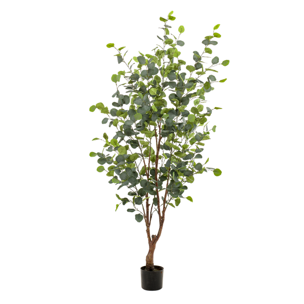 Grote Eucalyptus Kunstplant - 140 cm - Prachtige Kunsteucalyptus (Blauwe Gomboom) Everspring