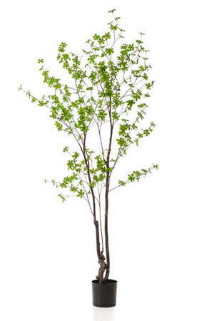 Kunstplant - Tropaeolum Speciosum - Oost Indische Kers - 210 cm Everspring