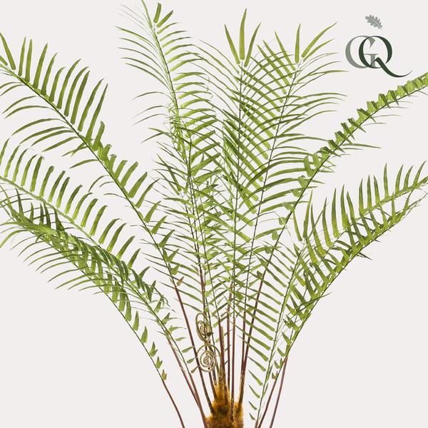 Kunstvaren- Kunstplant Boomvaren - 125cm Everspring