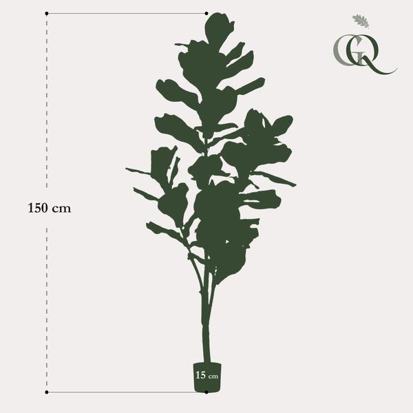 Prachtige grote kunstplant Vioolplant oftewel Ficus Lyrata - 150cm -Tabaksplant Everspring