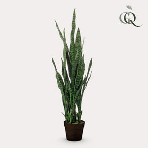 Kunstplant Sanseveria - Vrouwentong - 97 cm (black coral) Everspring
