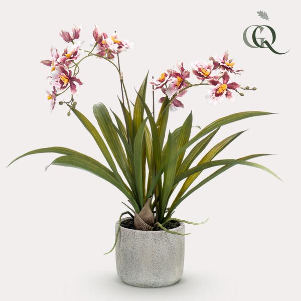 Orchidee Kunstplant - Bordeaux - 45cm -Kunstorchidee Everspring
