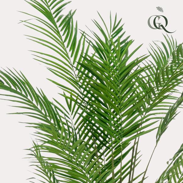 Luxe goudpalm kunstplant - Areca Lutescens - Goudpalm - 180 cm Everspring