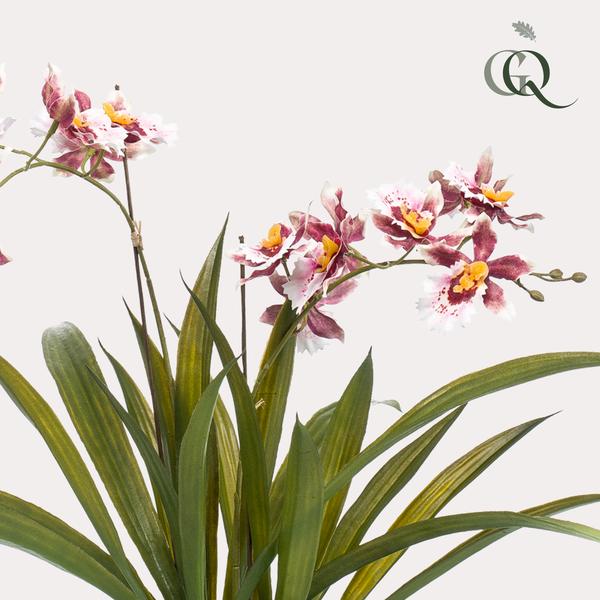 Orchidee Kunstplant - Bordeaux - 45cm -Kunstorchidee Everspring